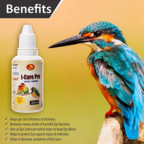 Image of Pet Care International (PCI) Bird Supplement I-Care Pro, Provide Healthy Eye Care for Healthy Bird Bath Healthcare (30 ML, I-Care Pro)