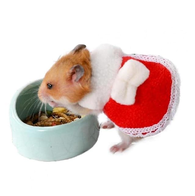 Foto 5 de 7 de PiniceCore Mascotas Pequeñas Ropa De Invierno Mini Falda para Hamster Guinea Pig Chinchilla Conejo