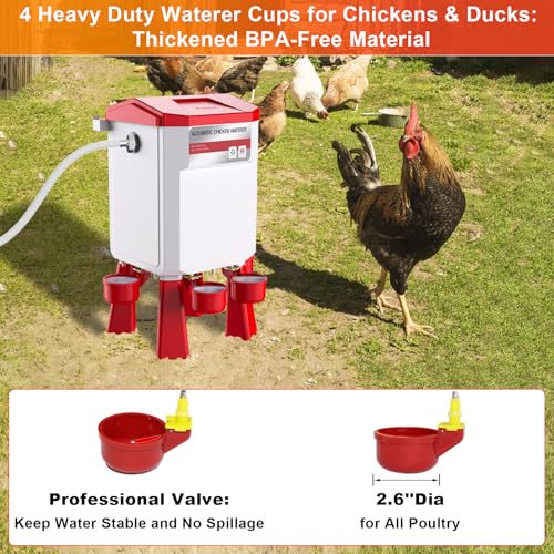 Automatic Chicken Waterer 2 Gallons, Float-Controlled Chicken Water Feeder with 4 Water Cups, 158.4-Inch Hose with 3/4'' and 1/2'' Ends, Large Poultry Waterer for Chick Quail Duck Turkey, Red by Kweetle - Image 7