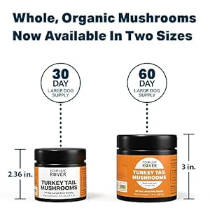 Turkey Tail Mushroom Extract  Critical Immune Support and Prebiotic for Dogs  60 Day Supply Depending on Dogs Weight  Rich in Betaglucans  Vet Formulated  Cucciolini Doodles Turkey tail mushroom extract  critical immune support and prebiotic for dogs  60 day supply depending on dogs weight  rich in beta glucans  vet formulated   cucciolini doodles