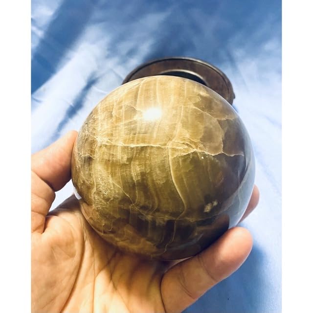 珪化木大宝珠② 【公式通販】