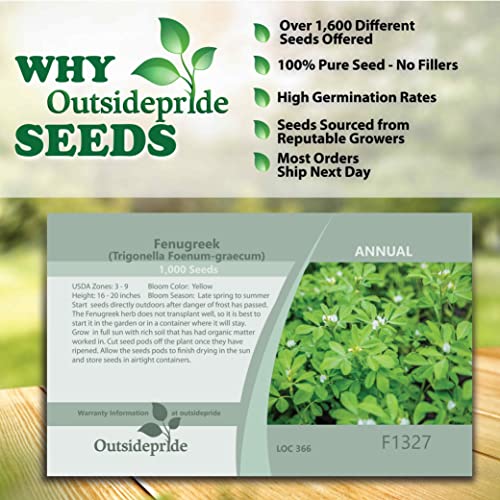 Outsidepride Fenugreek Herb Garden Plant For Cooking, Has Rich Scented, Cream Yellow Pea-Like Flowers - 1000 Seeds #TOP4