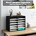 PAG Countertop Mail Sorter Organizer, Wooden Literature Organizer, Student Mailbox for Classroom, Desktop Bill Organizer for Office Home School, 12 Compartments, Black&White
