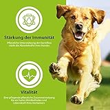 German Shephy Vegan Dog Food | 500g | Veganes Hunde Trockenfutter | Hypoallergenes Hundefutter trocken getreidefrei, im Sack für Junghunde, Erwachsene & Senior, sowie Allergiker