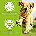 German Shephy Vegan Dog Food | 500g | Veganes Hunde Trockenfutter | Hypoallergenes Hundefutter trocken getreidefrei, im Sack für Junghunde, Erwachsene & Senior, sowie Allergiker
