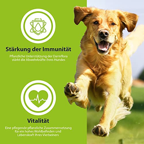 German Shephy Vegan Dog Food | 500g | Veganes Hunde Trockenfutter | Hypoallergenes Hundefutter trocken getreidefrei, im Sack für Junghunde, Erwachsene & Senior, sowie Allergiker