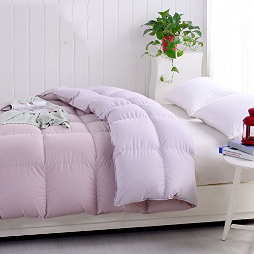 WENXXXXX Primavera y otoño fue Acondicionador de Aire Manta Doble-A 220x240cm(87x94inch)