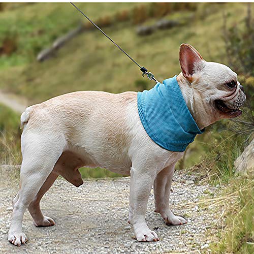 Festnight DogLemi Dog Pet Cooling Dog Collar Gelo De Refrigeração Bandanas Bandana De Gelo Toalha pa