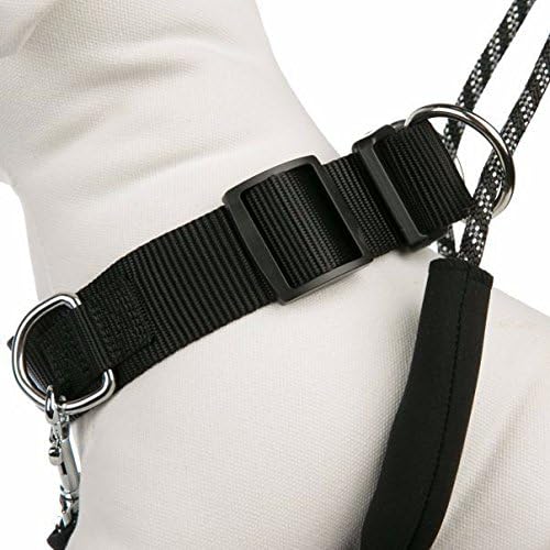 Kong no pull dog harness Clearance