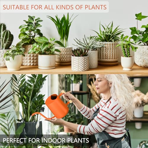 Image of Watering Can Indoor Plants, 35oz Small Stainless Steel Metal Watering Can Modern Decorative Watering Pot with Long Spout for Indoor House Plant Bonsai Garden Flowers (Orange)