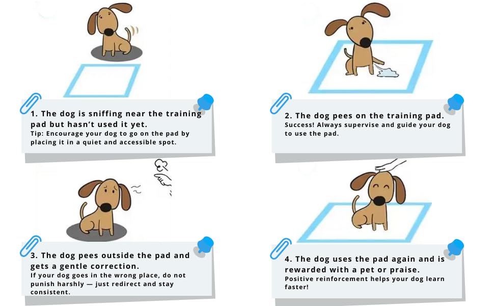 Dog Puppy Pads 60x45cm 50 Pack Medium Size 5-Layer Puppy Training Pads with Leak-Proof Quick-Dry Design Pads Pee Pads for Pets - Image 3