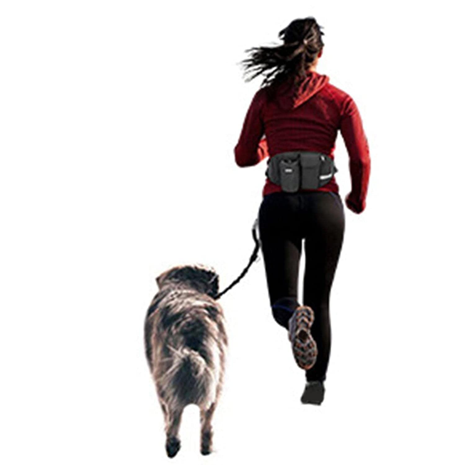 CALANDIS Hands Free Dog Leash Running Waist Belt Pet Walking Elastic Leashes+Bag Leash Only,?9 cm (B0BHWFTMVT) Amazon Price History, Amazon Price Tracker