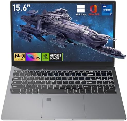 Svikou【Win 11Pro & Office 2019】 15.6 inch All-Metal Core i7-1185G7(up to 4.8GHz) with NVIDIA MX450 High Performance Laptop, 32GB RAM 512GB NVMe SSD, 2.5K(2560*1440)/Full-function DP Port/RJ45 (32+512)