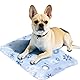 Poiinvc Hundekühlmatte & Katzenkühldecke - Selbstkühlend, Sofort Einsatzbereit, Ideal für Hunde & Katzen (40x50CM, Blau)