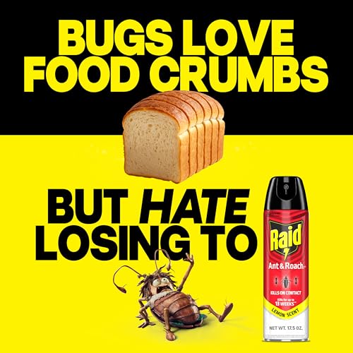 Image of Raid Ant & Roach Killer Spray For Listed Bugs, Keeps Killing for 13 Weeks, Lemon Scent, 17.5 oz