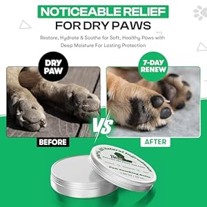 Petessentialsdogwipescleaningdeodorizingpawbalmfordogsteethcleaningwipespoopbagsrollsdogaccessoriesforwipingpawsbuttfaceanddentalcarenewpuppyessentialsset Urban Country Home Decor Pet essentials dog wipes cleaning deodorizing paw balm for dogs teeth cleaning wipes poop bags rolls dog accessories for wiping paws butt face and dental care new puppy essentials set urban country home decor