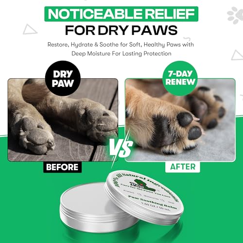 Petessentialsdogwipescleaningdeodorizingpawbalmfordogsteethcleaningwipespoopbagsrollsdogaccessoriesforwipingpawsbuttfaceanddentalcarenewpuppyessentialsset Urban Country Home Decor Pet essentials dog wipes cleaning deodorizing paw balm for dogs teeth cleaning wipes poop bags rolls dog accessories for wiping paws butt face and dental care new puppy essentials set urban country home decor