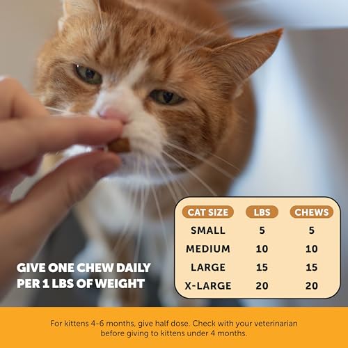 Image of Cat Immune Support Lysine - Allergy Relief & Immune Health Supplement for Cats with L-Lysine, Colostrum, Quercetin & Omega-3 - Soothes Sneezing, Runny Nose & Itchy Skin Chicken, (90-Day Supply)