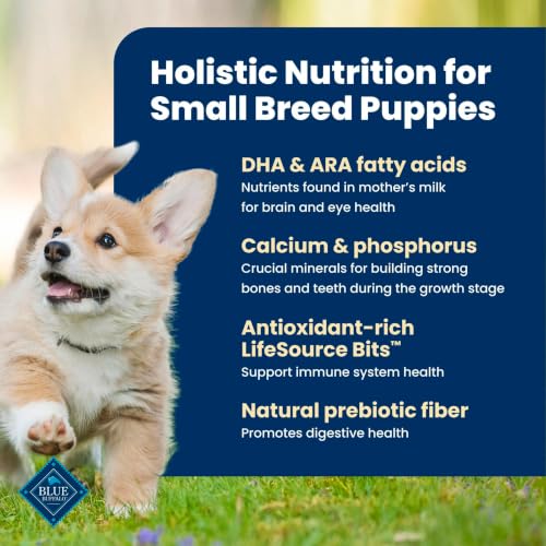 Blue Buffalo Life Protection Formula Chicken Small Breed Puppy Food, 5 lb