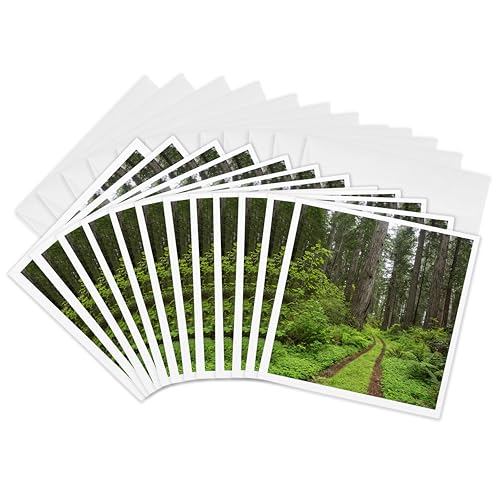 3dRose Tarjetas de felicitación - California, Del Norte State Park, Damnation Creek Trail, Redwood Tree - 6 por 6 pulgadas, juego de 12 (gc_314684_2)