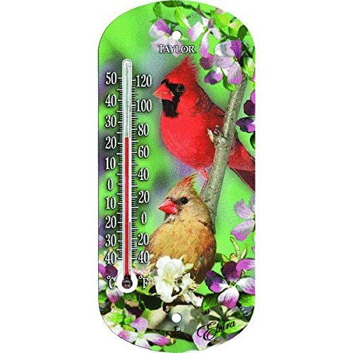 Taylor Bird Design Tube Thermometer Plastic