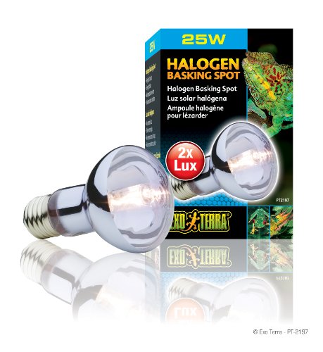Exo Terra Halogeen Basking Spot Lamp, 25 W - Afbeelding 4