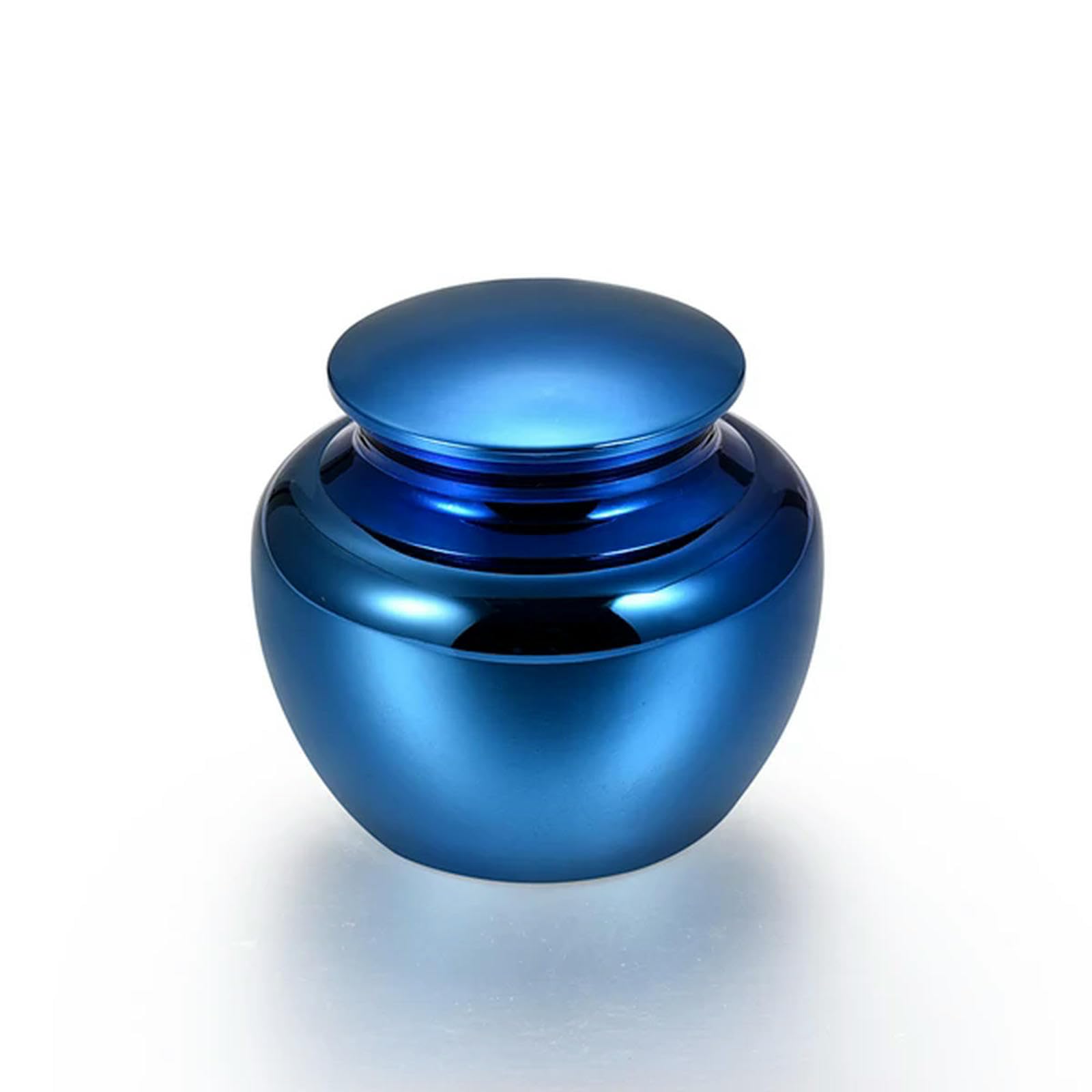 Urne funéraire pour chat ou chien en acier inoxydable bleu étanche