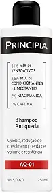 SHAMPOO ANTIQUEDA PRINCIPIA