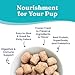 Solid Gold Freeze Dried Dog Food - Made with Real Beef, Pumpkin, and Superfoods - Freeze Dried Raw Dog Food to Serve as a Meal, Food Topper, or Dog Treat - 5.5 OZ