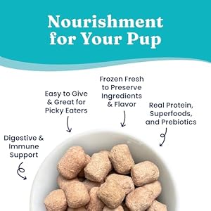 Solid Gold Freeze Dried Dog Food Made with Real Beef Pumpkin and Superfoods Freeze Dried Raw Dog Food to Serve as a Meal Food Topper or Dog Treat 15 OZ