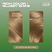 Clairol Natural Instincts Demi-Permanent Hair Dye | Medium Blonde | Shade 8 | Pack of 2