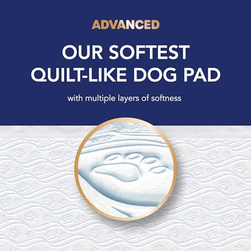 Scott-Pet-Guard-Advanced-Dog-Pads-Dog-Training-Pee-Pads-for-Puppies-Medium-Large-Dogs-Up-to-16-Hour-Absorbency-with-Odor-Control-Softest-Quilted-Dog-Pee-Pads-XL-30-x-36-20-Pack Scott Pet Guard Advanced Dog Pads Dog Training Pee Pads for Puppies Medium Large Dogs Up to 16 Hour Absorbency with Odor Control Softest Quilted Dog Pee Pads XL 30 x 36 20 Pack