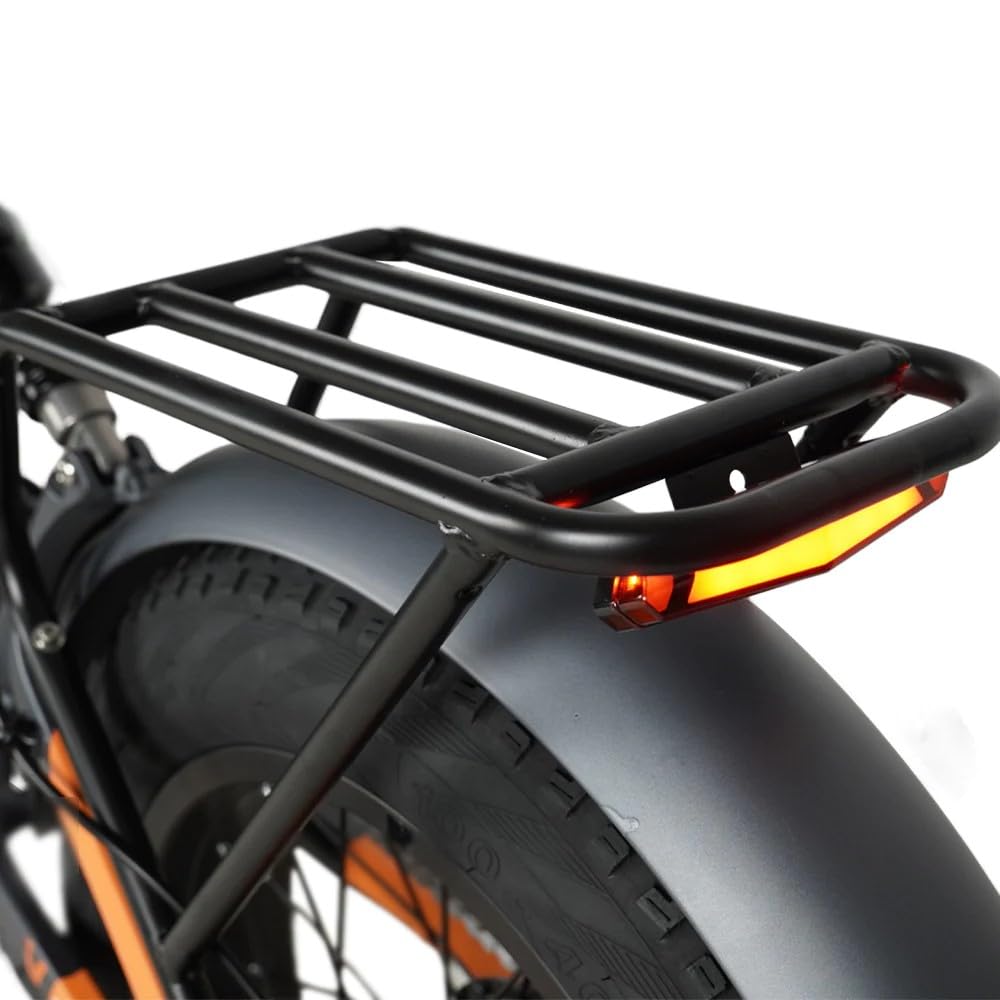 CO20 Max E-Bike Klapprad Doppelmotor mit 48V 20Ah Akku bis zu 120km | 20x4.0 Zoll, Hydraulische Bremse, 7 Gang Schaltwerk, Vollfederung Fatbike Pedelec für Damen u. Herren