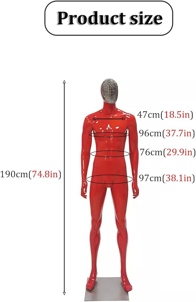 Amazon.co.jp: トルソー メンズ ファッションカラフルな男性マネキンの