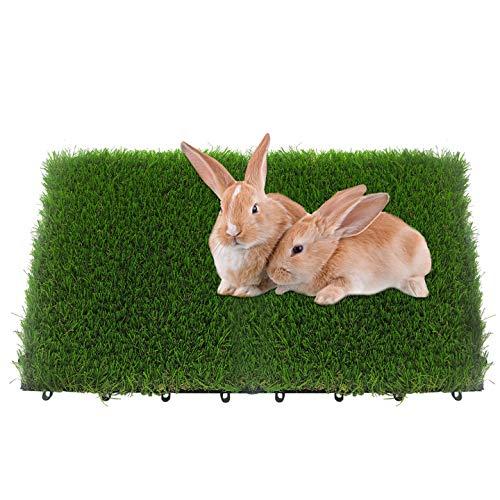 Top 10 Best Flooring For Rabbit Hutch Reviews & Buying Guide Katynel