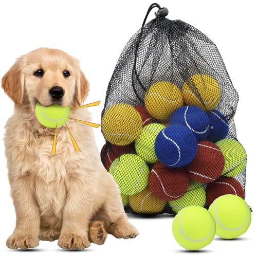 Magicorange Dog Tennis Balls 20 Pack 2.5 inch Floatable Squeaky Tennis Balls for Fetch Exercise Natural Rubber Squeaky Dog Balls Training Safe (Multicolor)