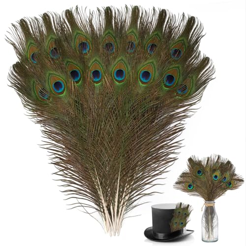 GUOYIHUA 15 plumas de pavo real 40-50 cm, hermosas plumas de ojos para manualidades, plumas de pavo real largas para decoración del hogar, plumas grandes, manualidades para sombreros, manualidades