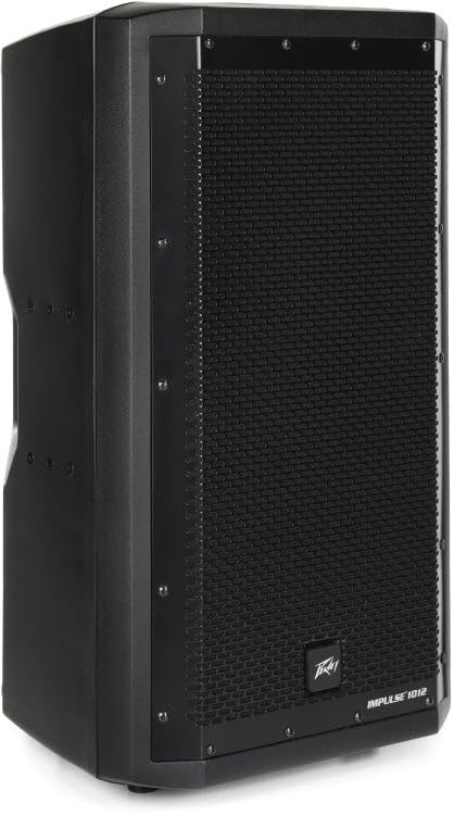 Amazon.com: Peavey 15