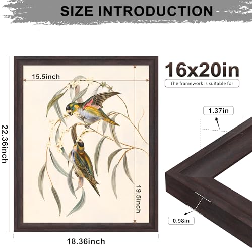 Image of 16x20 Frames as Poster Frames, 1.37-In Wide MDF Frame with Plexiglass, 16 x 20 Picture Frames for Wall, Walnut Brown