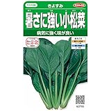 サカタのタネ 実咲野菜2700 暑さに強い小松菜 きよすみ 00922700