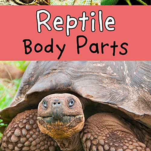 Reptile Body Parts by Clare Lewis episode artwork