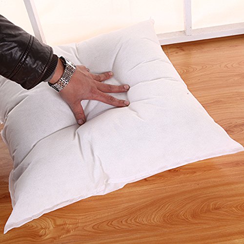 Indexp Standard Cushion Insert, Soft Smooth PP Cotton Replacement Pillow Core (45x45, White)