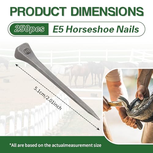 Image of 250pcs Horseshoe Nails E5 Stainless Steel,2 Inches Easy Carry Hoof Horseshoe Tools,Securing Firmly Tool Accessory for Horse Training Equestrian Sports(E5)