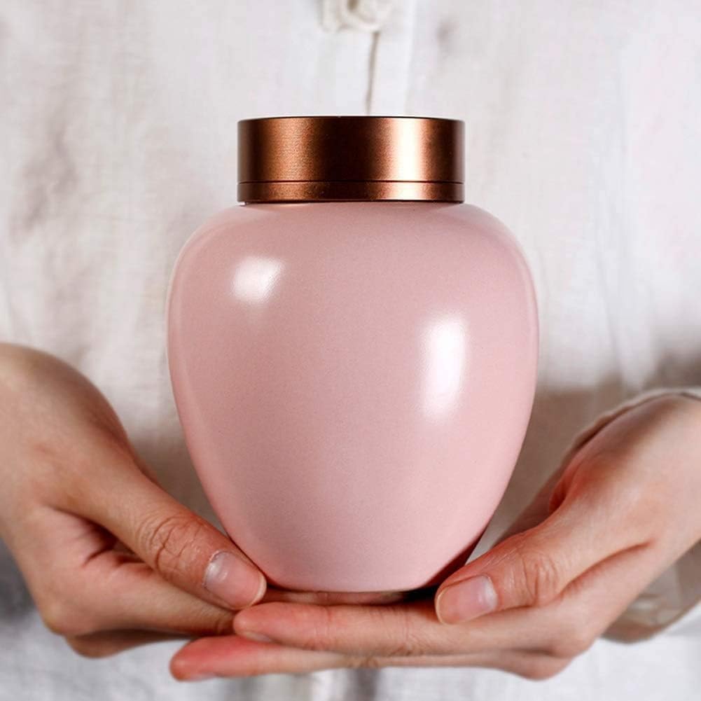 C Ae A E Urns Genuine Free Shipping For Human Ashes Mini Adult Cremation Pet
