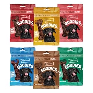 Chewies Training Maxi Snacks Hunde-Leckerli Probier-Paket – gesunde Hunde-Leckerlis ohne Zucker, ideal als Belohnung & Motivation im Hundetraining geeignet, Made in Germany (6 x 200g)
