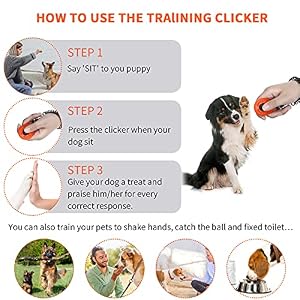 Frienda 9 Pieces Dog Training Clicker with Wrist Strap Pet Training Clicker Dog Behavioral Clicker for Behavioral Training Dogs Cats Birds Horses (Multicolor, Water Drop Style) Frienda 9 Pieces Dog Training Clicker with Wrist Strap Pet Training Clicker Dog Behavioral Clicker for Behavioral Training Dogs Cats Birds Horses (Multicolor, Water Drop Style)
