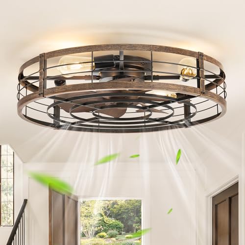 Image of LEDIARY 26 inch Caged Ceiling Fan with Light and Remote, Low Profile Flush Mount Fandelier, Black Gold Bladeless Enclosed Small Fan Lights Ceiling Fixtures, Rustic Farmhouse Style for Bedroom, Outdoor