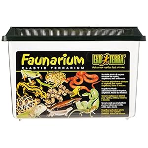 Exo Terra Standard Faunarium Large