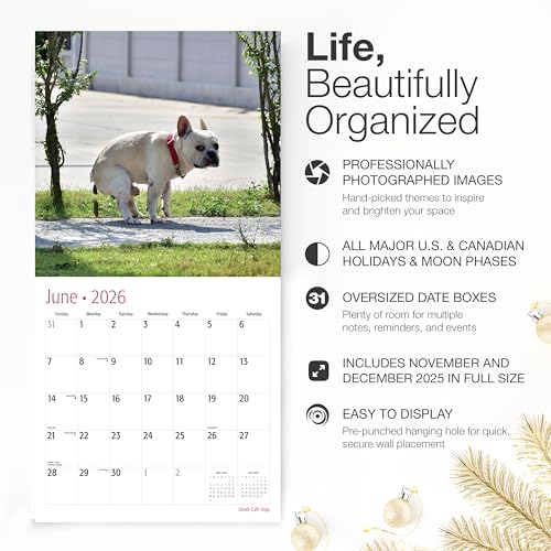 Image of RED EMBER Funny Dooty Calls Dogs 2026 Wall Calendar 12 Month | 12 inch x 24 inch Open | Thick & Sturdy Paper | Giftable | White Elephant Gifts for Adults Pooches Puppy Dog Calendar 2026