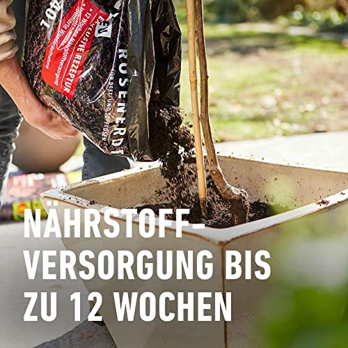 Compo Sana Rosenerde mit 12 Wochen Dünger für Beet- und Topfrosen